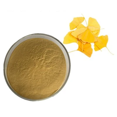 Ginkgo Biloba Estratt CAS 90045-36-6